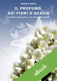 Il profumo dei fiori d'acacia
